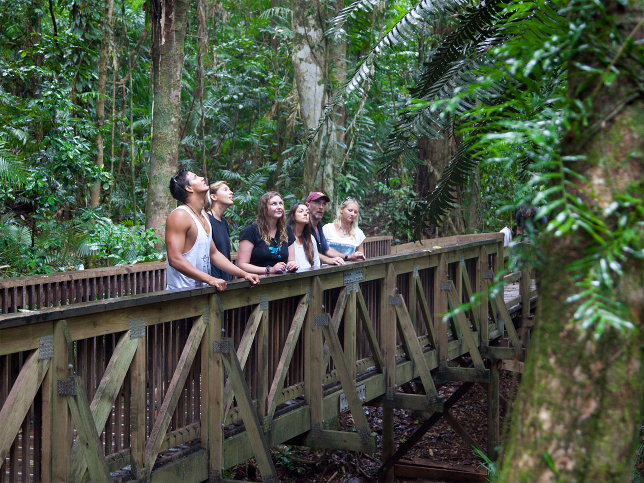 Daintree Rainforest Tour Group