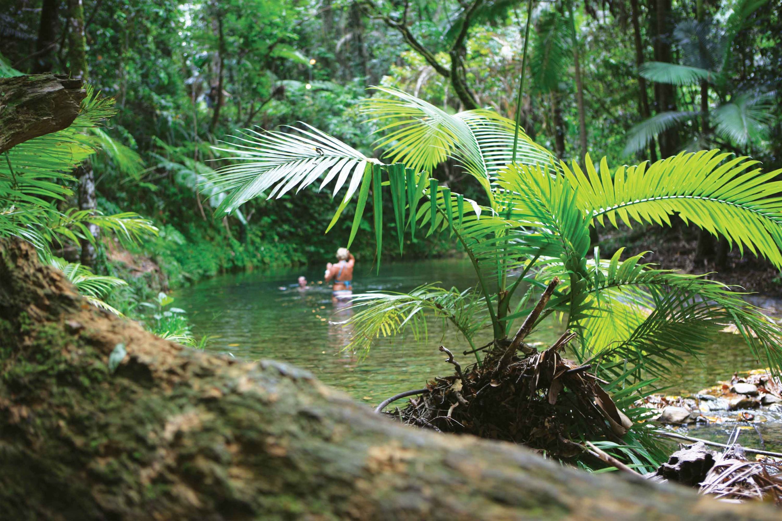 Couple swimming in Cooper Creek at Daintree Rainforest Port Douglas