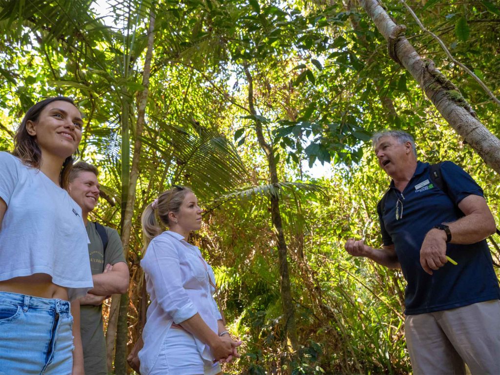 Daintree Tour Information Expert Guides COVID safe