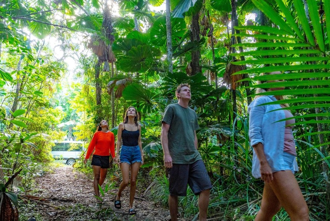 Eco Certified | Daintree Rainforest Tours | Ecotourism