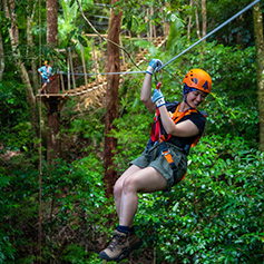 daintree rainforest croc cruise