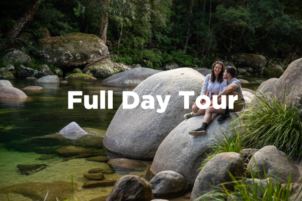 Full day southern daintree tour