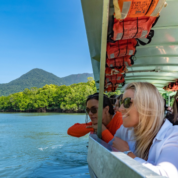 daintree rainforest river cruise
